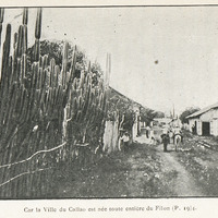 Car la ville du Callao est née toute entière du filon