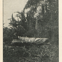 Un cimetière Gouaraouno