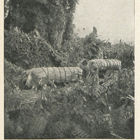 Cimetière Gouaraouno