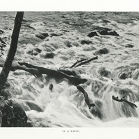 In a rapid