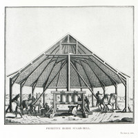 Primitive horse sugar-mill