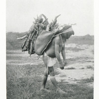 Indian woman with her burden