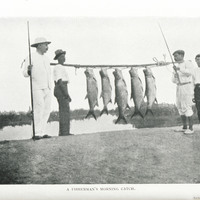 A fisherman's morning catch
