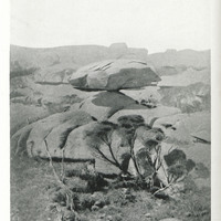 Summit of roraima