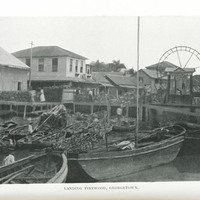 Landing firewood, Georgetown