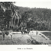 Anse à la barque