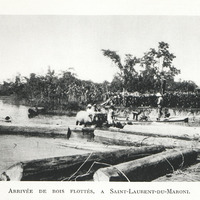 Arrivée de bois flottés, à Saint-Laurent-du-Maroni