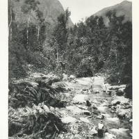 Les pitons du Carbet et la rivière de l'Alma