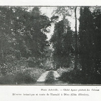 Réserve botanique et route de Tiassalé à Divo (Côte d'Ivoire)