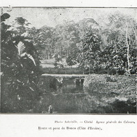 Route et pont du Banco (Côte d'Ivoire)