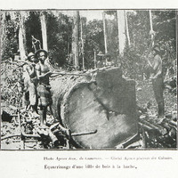Equarrissage d'une bille de bois à la hache