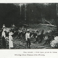 Débardage à bras d'homme (Côte d'Ivoire)