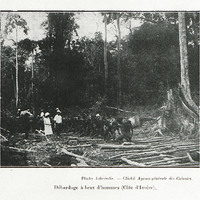 Débardage à bras d'homme (Côte d'Ivoire)
