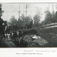 Train de billes d'Acajou (Côte d'Ivoire)