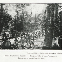 Scène d'exploitation forestière. Tirage de billes à bras d'hommes. - manœuvres au repos (Côte d…