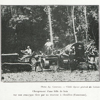 Chargement d'une bille de bois sur une remorque tirée par un tracteur à chenilles (Cameroun)