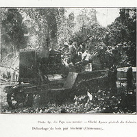 Débardage de bois par tracteur (Cameroun)