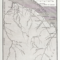 Carte forestière de la Guyane Française