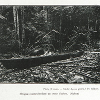 Pirogue construite dans un tronc d'arbre. (Gabon)