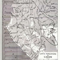 Carte Forestière du Gabon