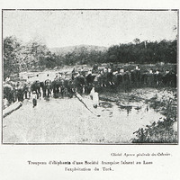 Troupeau d'éléphants d'une Société française faisant au Laos l'exploitation du teck