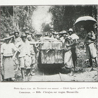 Cameroun. - Bille d'Acajou sur wagon Decauville