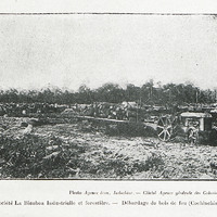 Société La Bieuhoa Industrielle et forestière. - Débardage de bois de feu (Cochinchine)