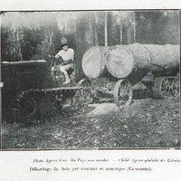Débardage de bois par tracteur et remorque (Cameroun)
