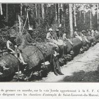 Convoi de grumes