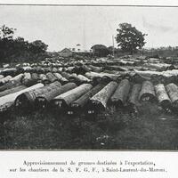 Approvisionnement de grumes destinées à l'exportation