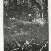Exploitation de grosses pièces