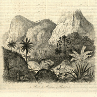 Route de Mandioca