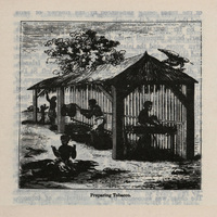 Preparing tobacco