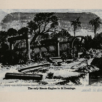 The only steam-engine in St Dominigo