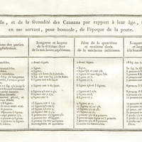 Tableau des progressions de la taille, et de la fécondité des caïmans par rapport à leur âge, fait…