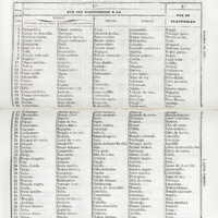 Orden de preferencia que meceren las maderas de las tablas anteriores. Isla de Cuba