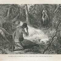 Courouille au bord du torrent voy. P. 174).