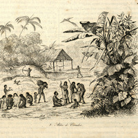 Aldea de Coroados
