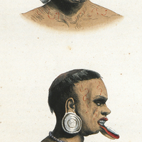 Botocudos