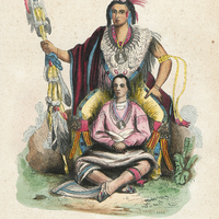 Chef des Renards (Amérique)