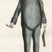 Esquimaux