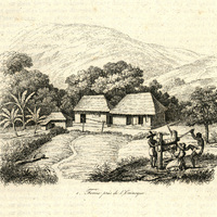Ferme près de l'Orénoque