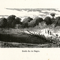 Bords du rio Negro