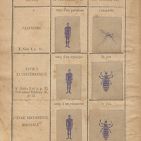 Maladies prises par la peau