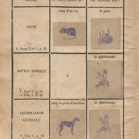 Maladies prises par la peau