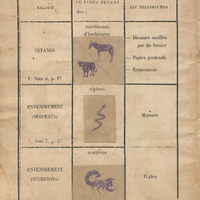 Maladies prises par la peau