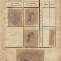 Maladies prises par la bouche