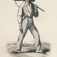 Le Créole ( Petit blanc )