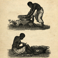 [Apprêt du manioc]