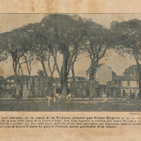 Les sabliers de la Place de la Victoire, plantés par Victor Hugues. La place de la Victoire est la…